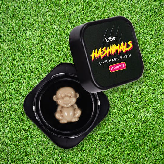 Tribe - Citrus Sand - Hashimals - Live Hash Rosin - Monkey - 1.5g - 1