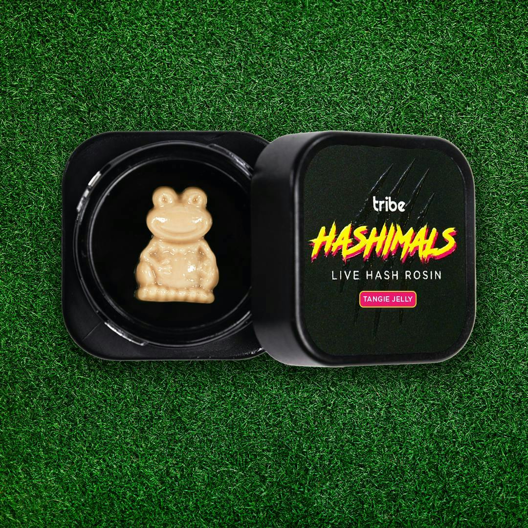 Tribe - Tribe | Tangie Jelly | Frog Hashimals | 1g - 1