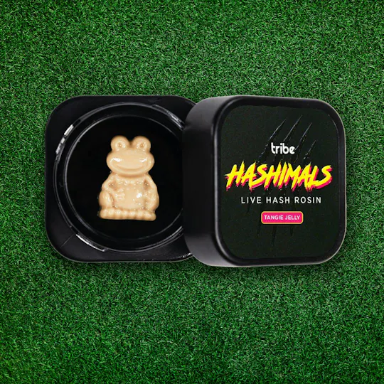 Tribe - Tribe | Tangie Jelly | Frog Hashimals | 1g - 1