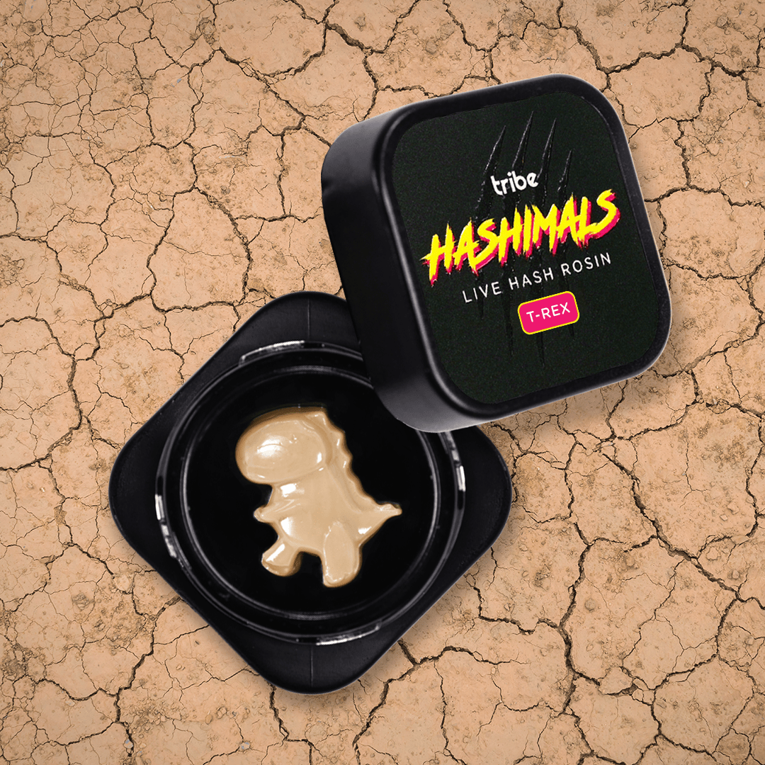 Tribe - Tribe | Strawberry Cooler | T-Rex Hashimals | 0.5g - 1