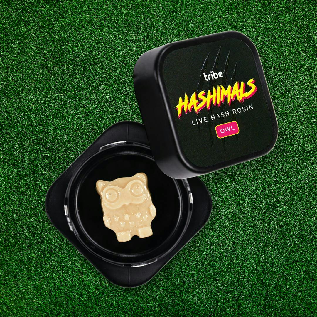 Tribe - Tribe | Tangie Jelly | Owl Hashimals | 1g - 1