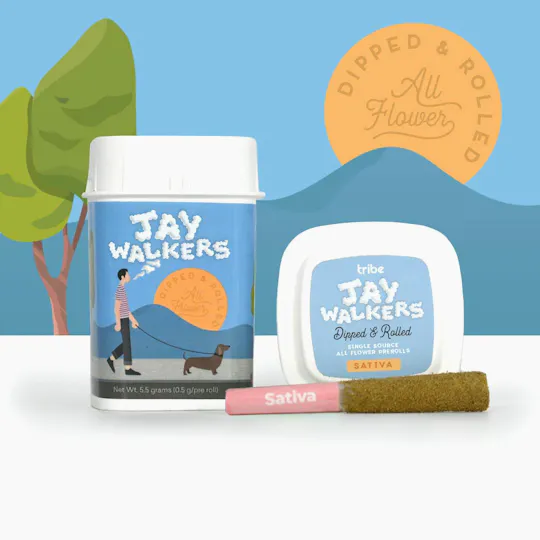 Tribe - Tribe | Sweet Nut | Dipped Jaywalker Infused Minis | 0.5g each | 11pk - 1
