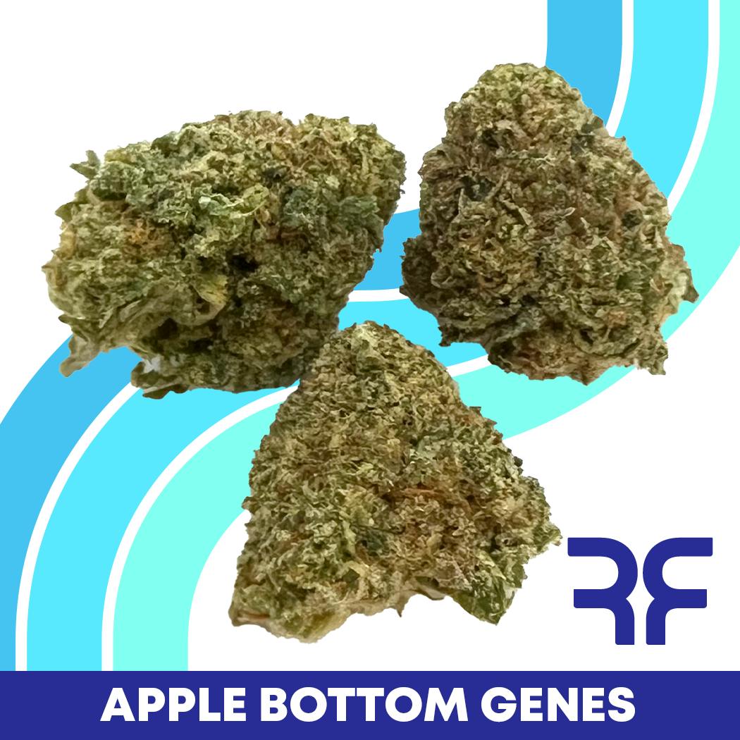 REEF Cannabis - Apple Bottom Genes Small Buds - 1