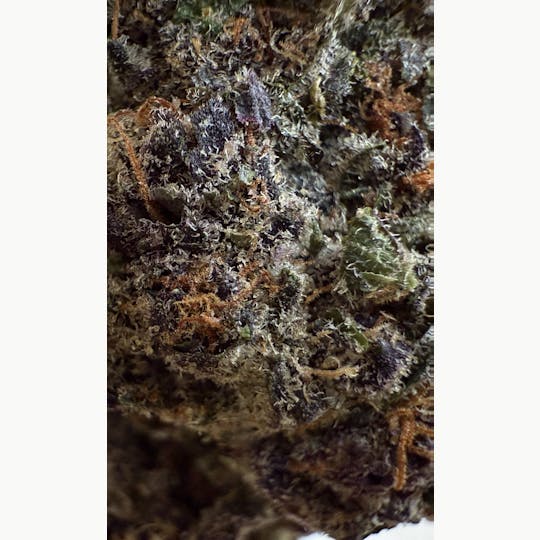 Nu Cannabis Brand - NuCannabis - Halle Berry 7g - PREMIUM INDOOR FLOWERS - 1