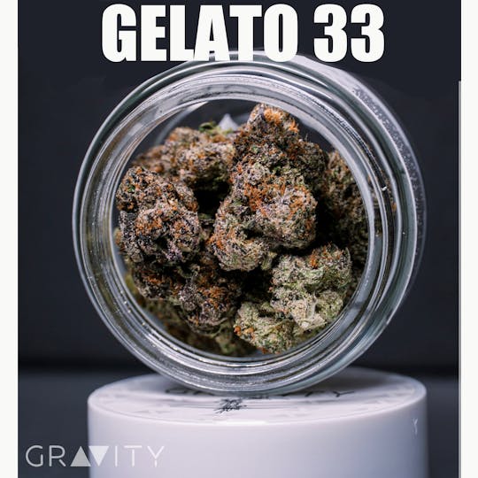 Gravity - GELATO 33 (5 GRAMS) - 1