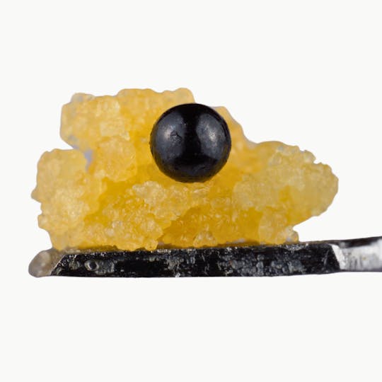 Kaligold extracts - Sundae Driver x Zelato Sugar 1g - 1
