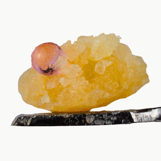 Kaligold extracts - Permanent Marker Sugar 1g - 1