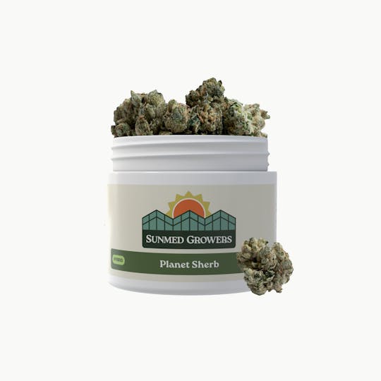 SunMed Growers - Planet Sherb Flower (3.5g) - 1