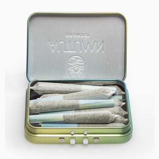 Autumn Brands - Mini Preroll 10pk Sativa Mango Haze - 1