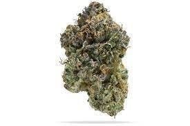 Cannafeen - Cannafeen | Permanent Marker | Big Buds - 1