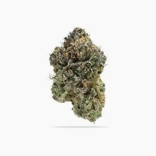 Cannafeen - Cannafeen | Permanent Marker | Big Buds - 1