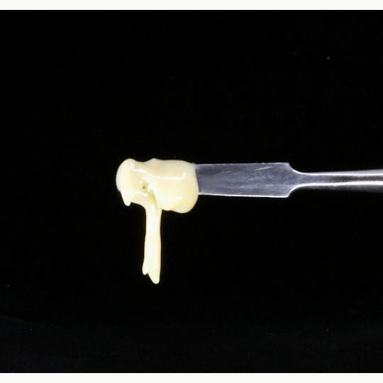 Shasta Flower and Hash Company - Shasta Hash Co. Royal Octane T1 Solventless Custard 1g - 1