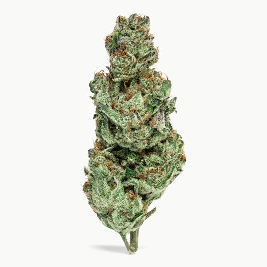 MR. ZIPS - MR. ZIPS | Tom Ford | 7g Flower - 1