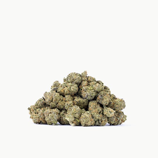 MR. ZIPS - MR. ZIPS | Governmint Oasis | 14g Flower - 1