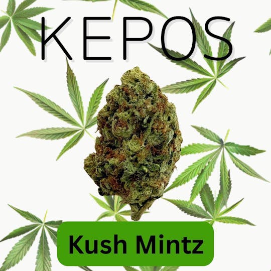Nu Cannabis Brand - Kepos - Kush Mintz 14g - PREMIUM FLOWERS - 1