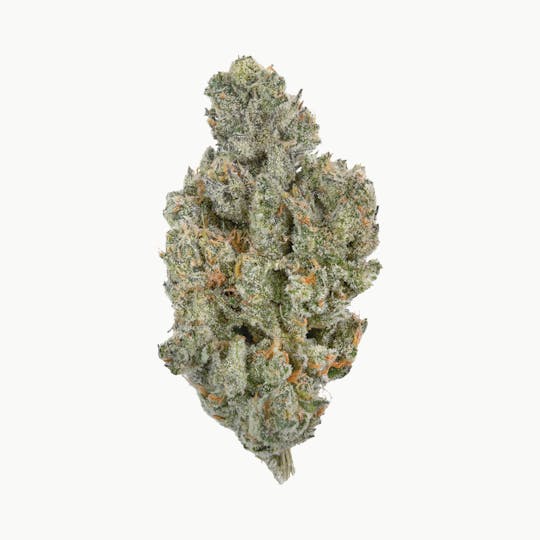 Fire Bros. - Fire Bros. - Jack Black - 7g - 1