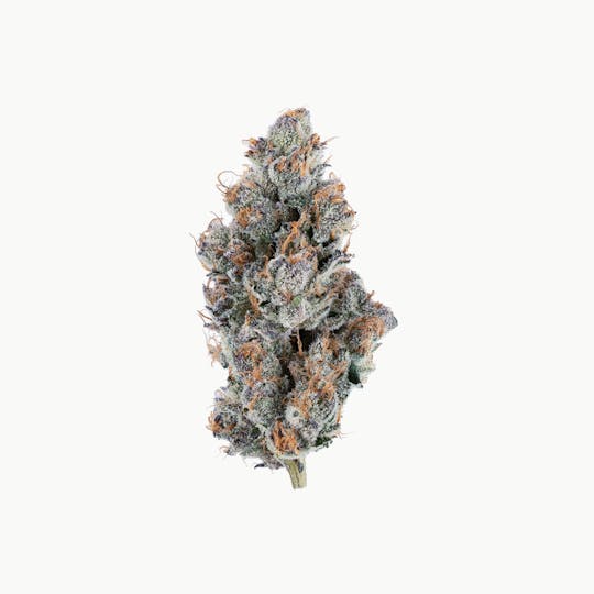 Fire Bros. - Fire Bros. - Tamalez - 14g - 1