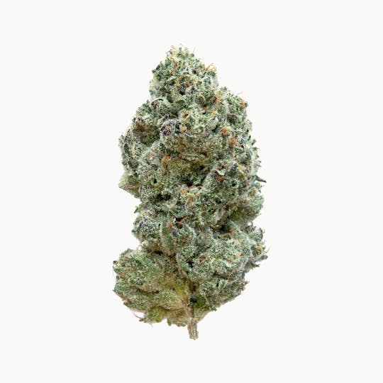 Fire Bros. - Fire Bros. - Cherry Biscotti - 1g - 1