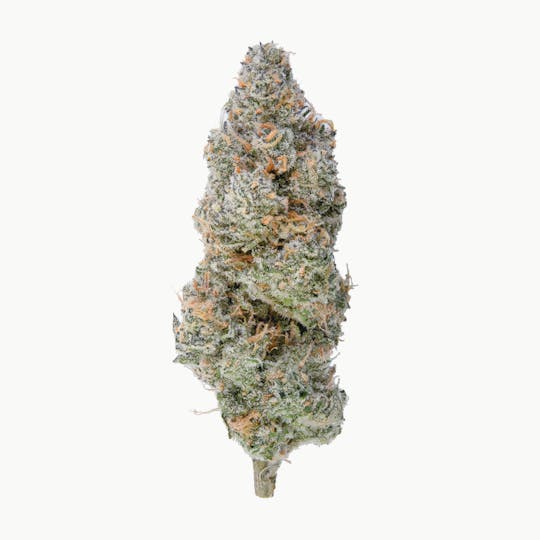 Fire Bros. - Fire Bros. - Lemon Slushee - 28g - 1