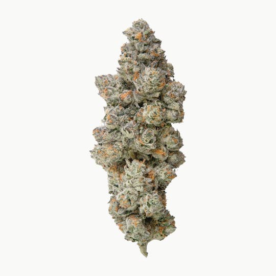Fire Bros. - Fire Bros. - Trunk Funk - 14g - 1