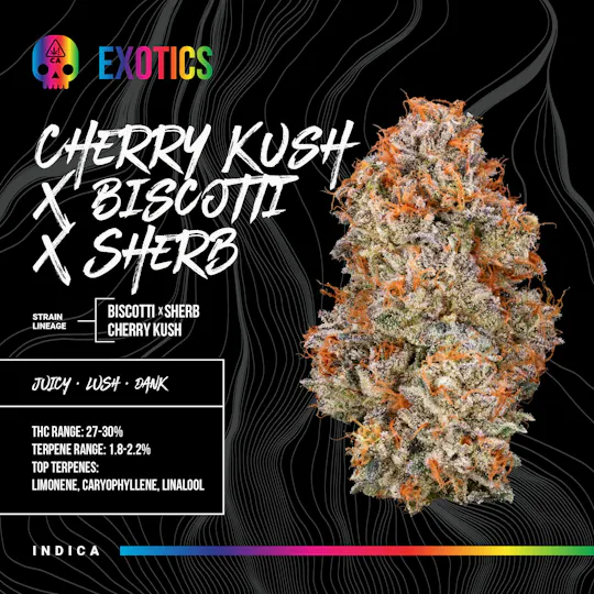 Bosky Genetics - BOSKY | Cherry Kush x Biscotti x Sherb | Big Buds | 3.5g - 1