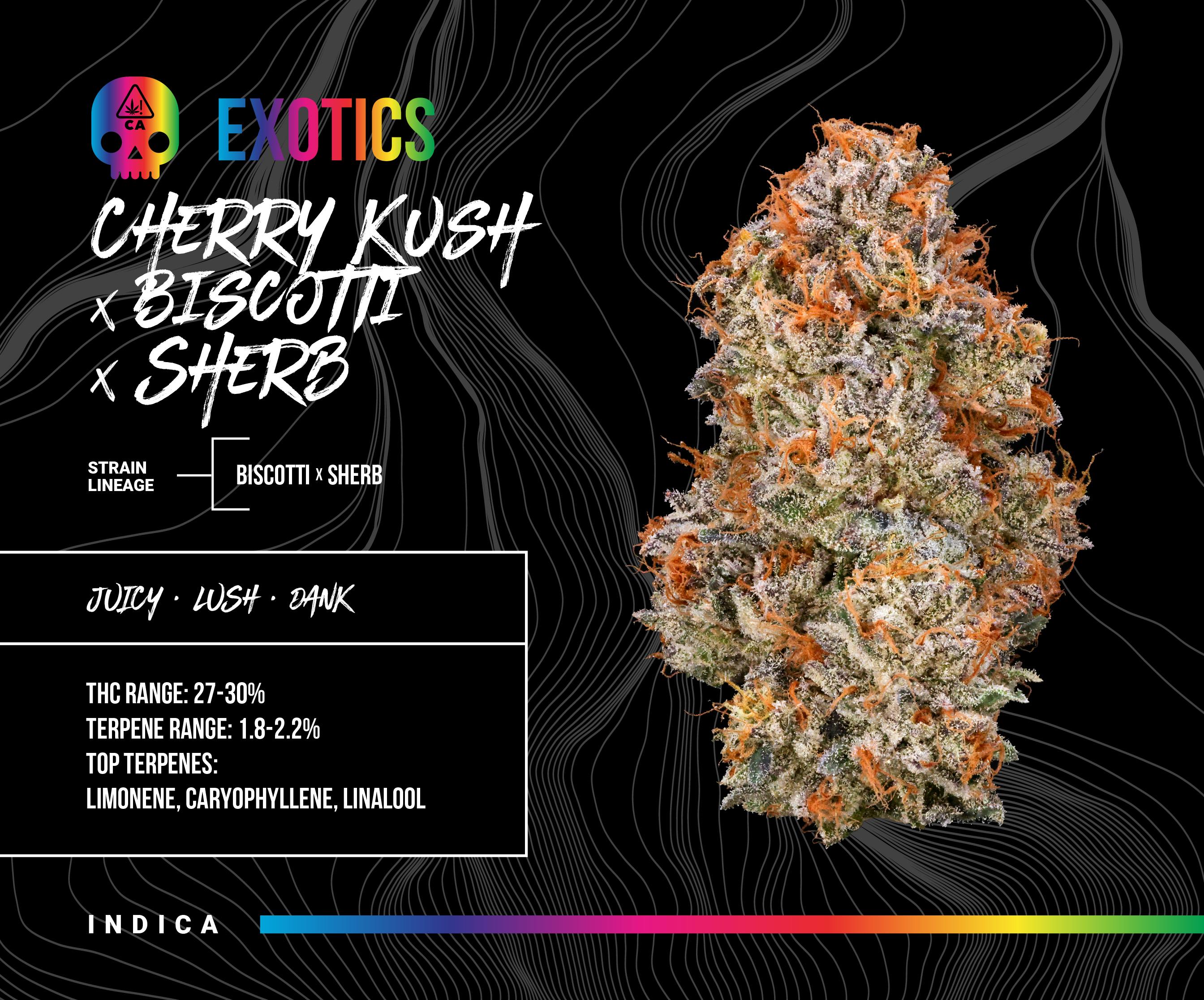 Bosky Genetics - BOSKY | Cherry Kush x Biscotti x Sherb | Big Buds | 14g - 1