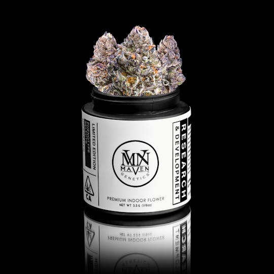 Maven Genetics - Sour Sangria x Shangri-La - 1