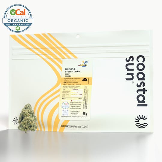 Coastal Sun - Banana Cream Cake Sungrown Flower 28g - 1