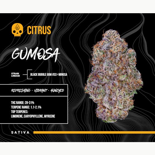 Bosky Genetics - BOSKY - Gumosa (3.5G) - 1