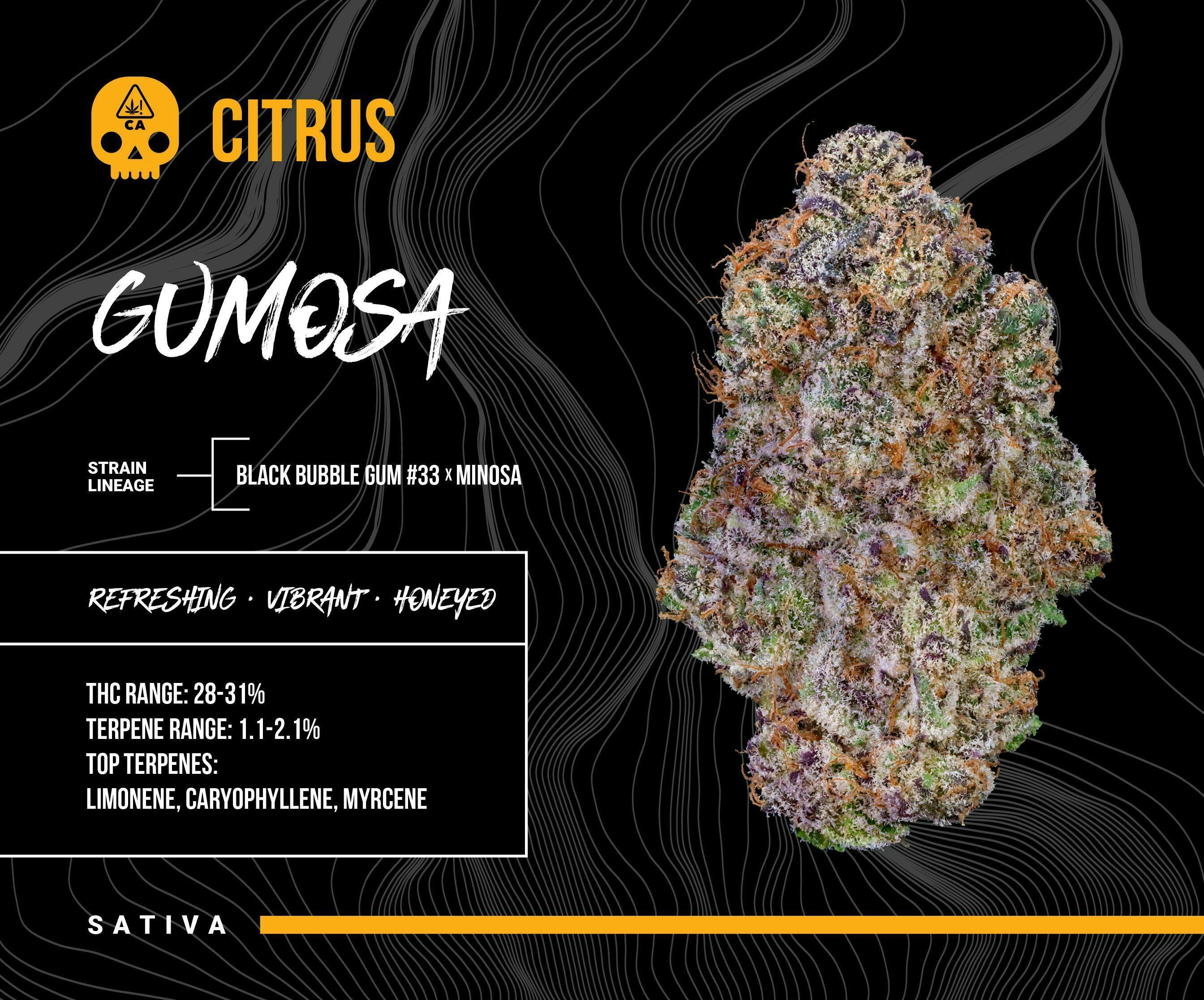 Bosky Genetics - BOSKY | Gumosa | Big Buds | 3.5g - 1