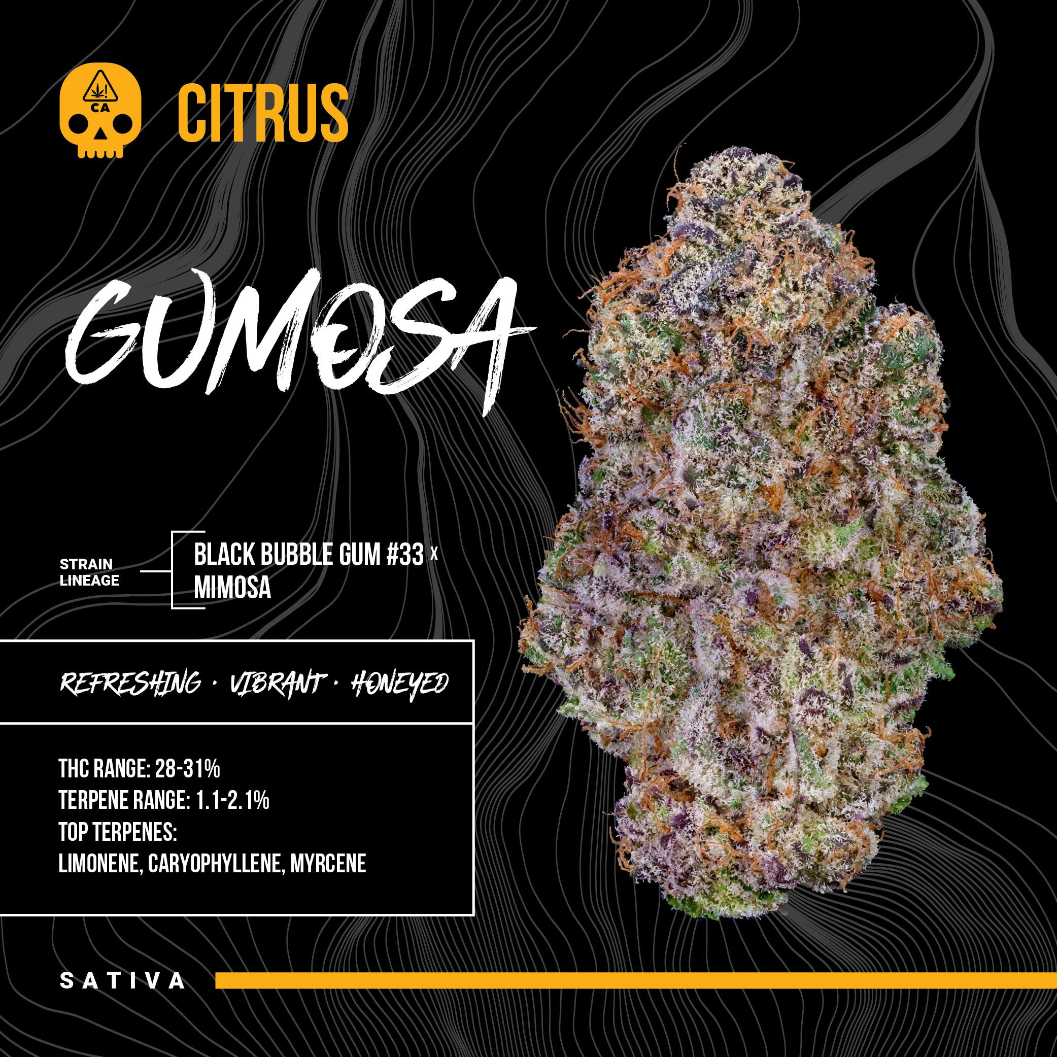 Bosky Genetics - BOSKY | Gumosa | Big Buds | 14g - 1