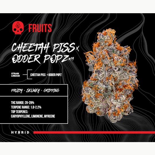 Bosky Genetics - BOSKY - Cheetah Piss x Odder Pops #19 (3.5G) - 1