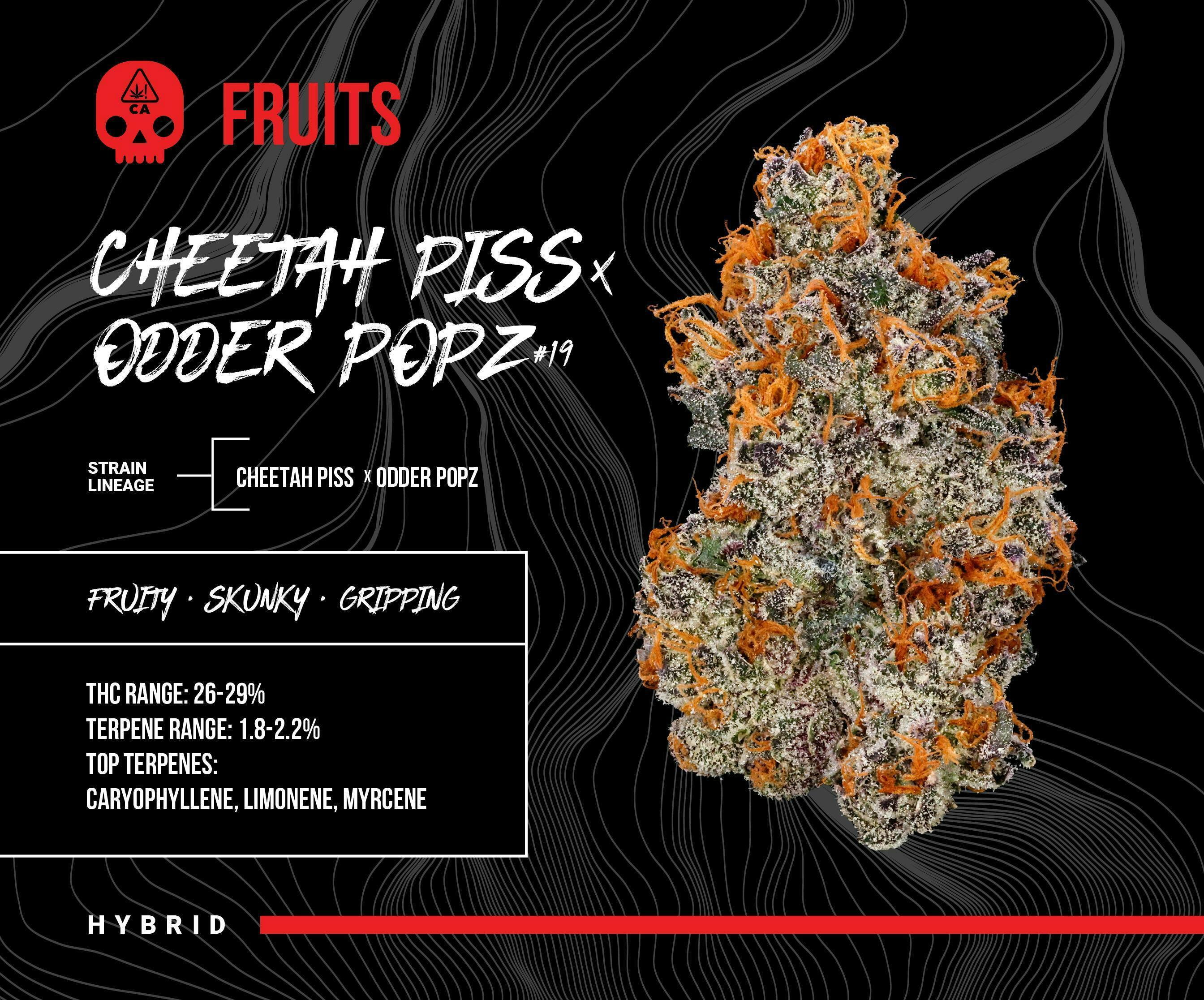 Bosky Genetics - BOSKY | Cheetah Piss & Odder Popz #19 | Big Buds | 3.5g - 1