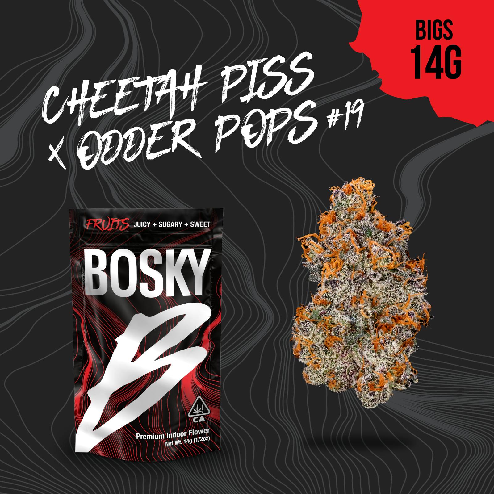 Bosky Genetics - BOSKY | Cheetah Piss x Odder Pops #19 | Big Buds | Fruits | 14g - 1