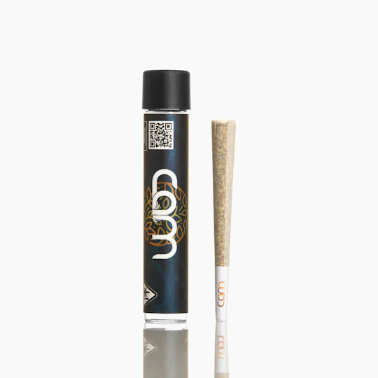 CAM - CAM | Skywalker OG | Joint | 1g - 1