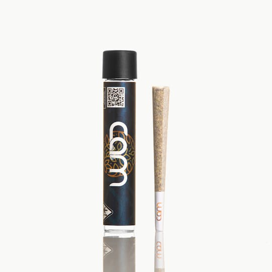 CAM - CAM | Afghan Sweetz Preroll (1g) - 1