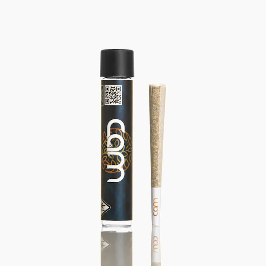 CAM - CAM | Cherry Limez | Joint | 1g - 1