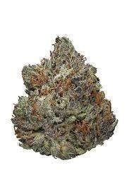 Cannafeen - Cannafeen | Black Cherry Gelato | Big Buds - 1
