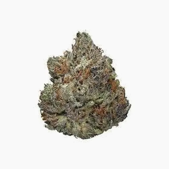 Cannafeen - Cannafeen | Black Cherry Gelato | Big Buds - 1