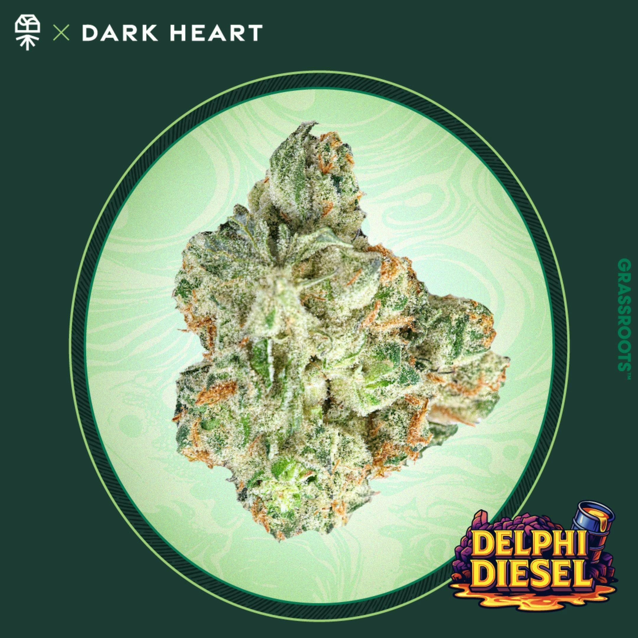 Grassroots - Delphi Diesel Whole Flower - Dark Heart Collection - 1