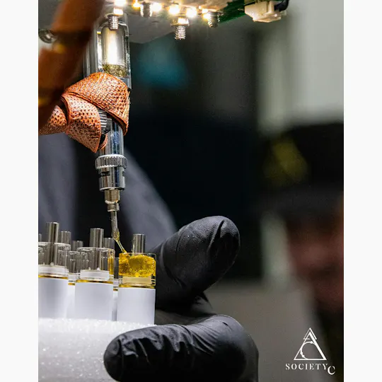 Society C - Society C | Red Pop | Live Rosin Disposable | 0.5g - 1