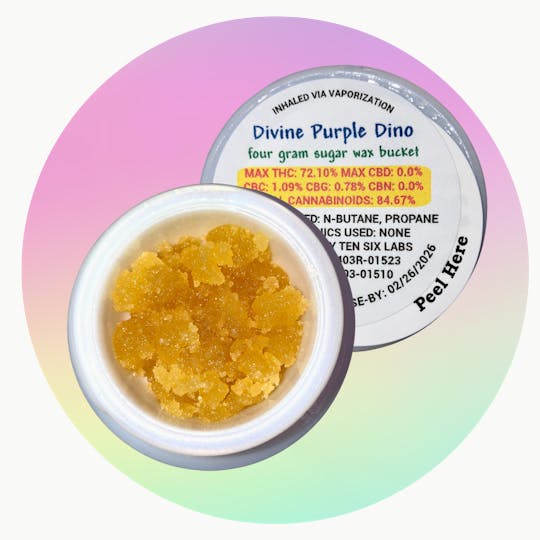 Ten Six Labs - Sugar Wax | 4g | Divine Purple Dino - 1