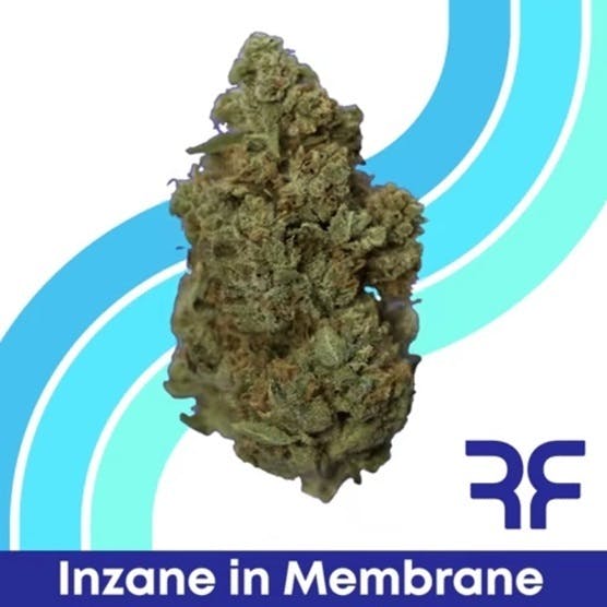 REEF Cannabis - Inzane in the Membrane Whole Flower - 1
