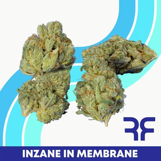 REEF Cannabis - Inzane in the Membrane Small Buds - 1