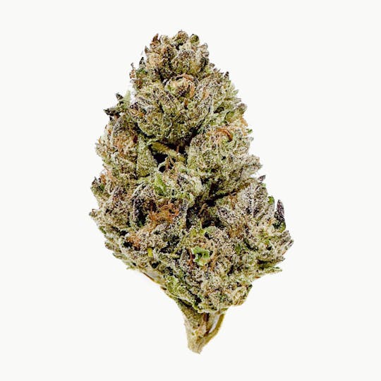 Henry's Original - Pouch Flower- Cherry Garcia - 1