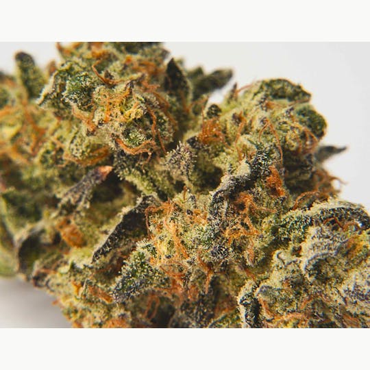House of Sacci - AIRMAIL DIME BAG PREMIUM FLOWER - 1