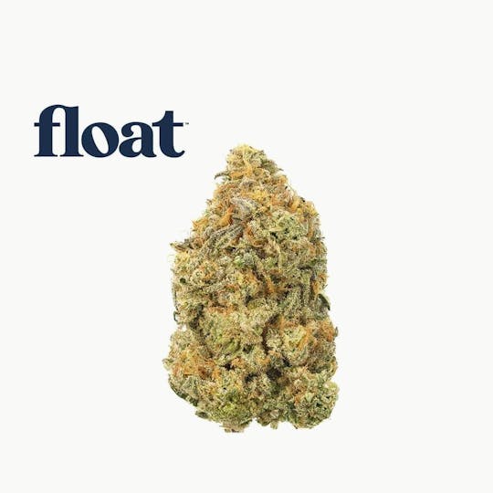 Float - Float - Animal Z Flower 3.5g - 1