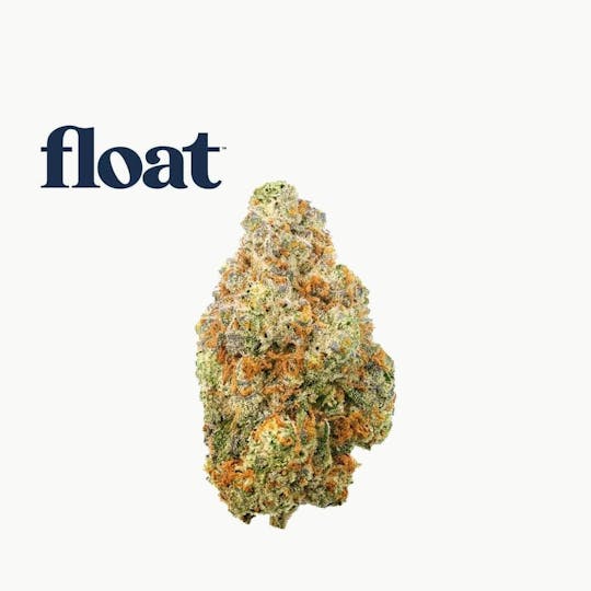 Float - Float - ZKZ Cake x Creamsickle Flower 3.5g - 1