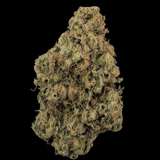 Trap House Company - Trap House Company | 3.5g Smalls | Tea Time - 1
