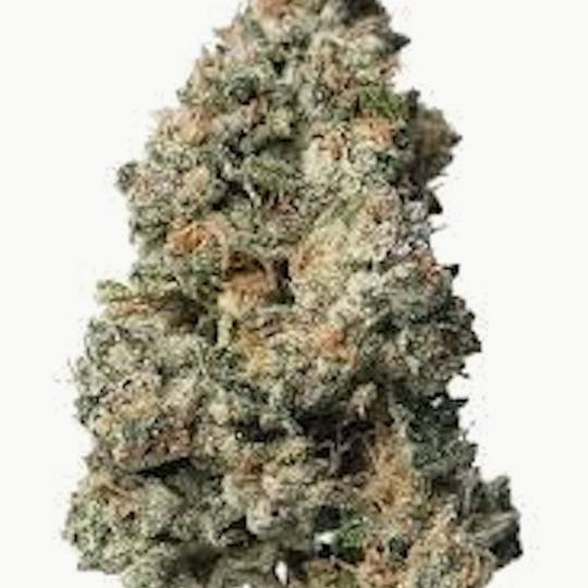 Trap House Company - Trap House Company | 3.5 Bulk Flower | Smarties - 1